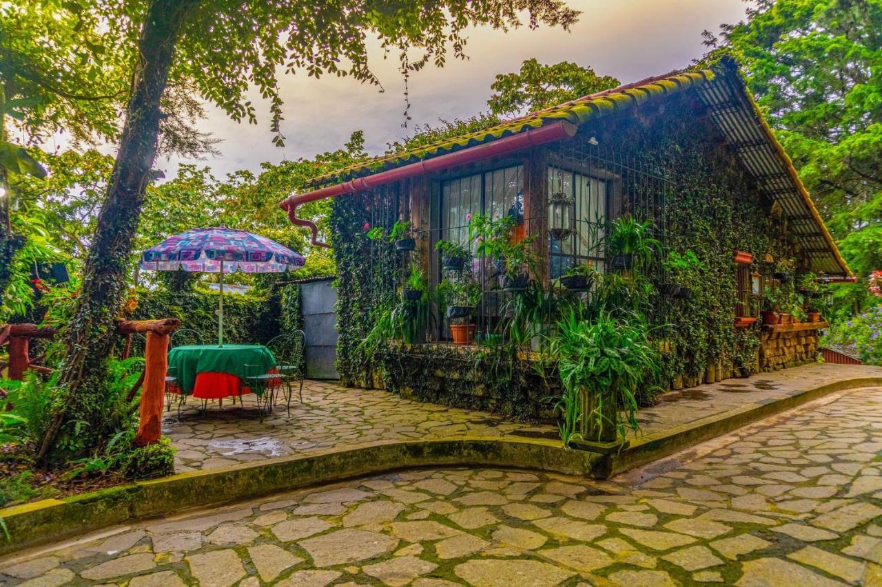 Los Naranjos Town Houses Экстерьер фото